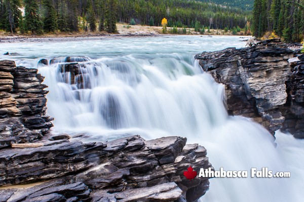 Athabasca Falls in Jasper National Park in March
