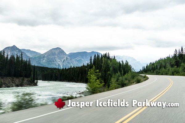 Jasper Icefields Parkway During March