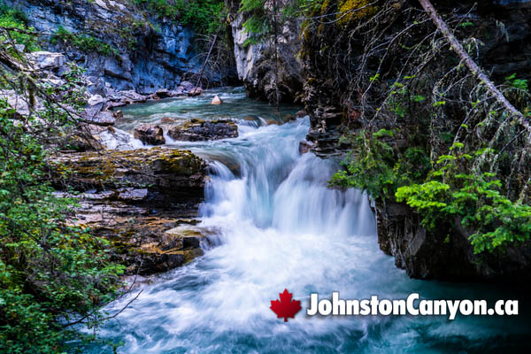 Johnston Canyon During March