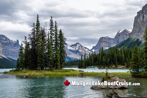 Jasper Maligne Lake Boat Cruise During March