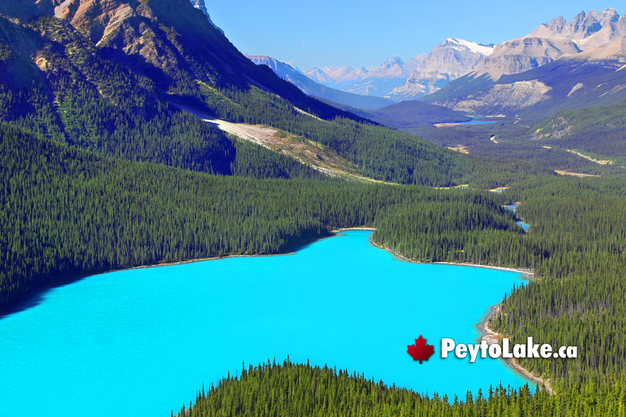 March at Peyto Lake